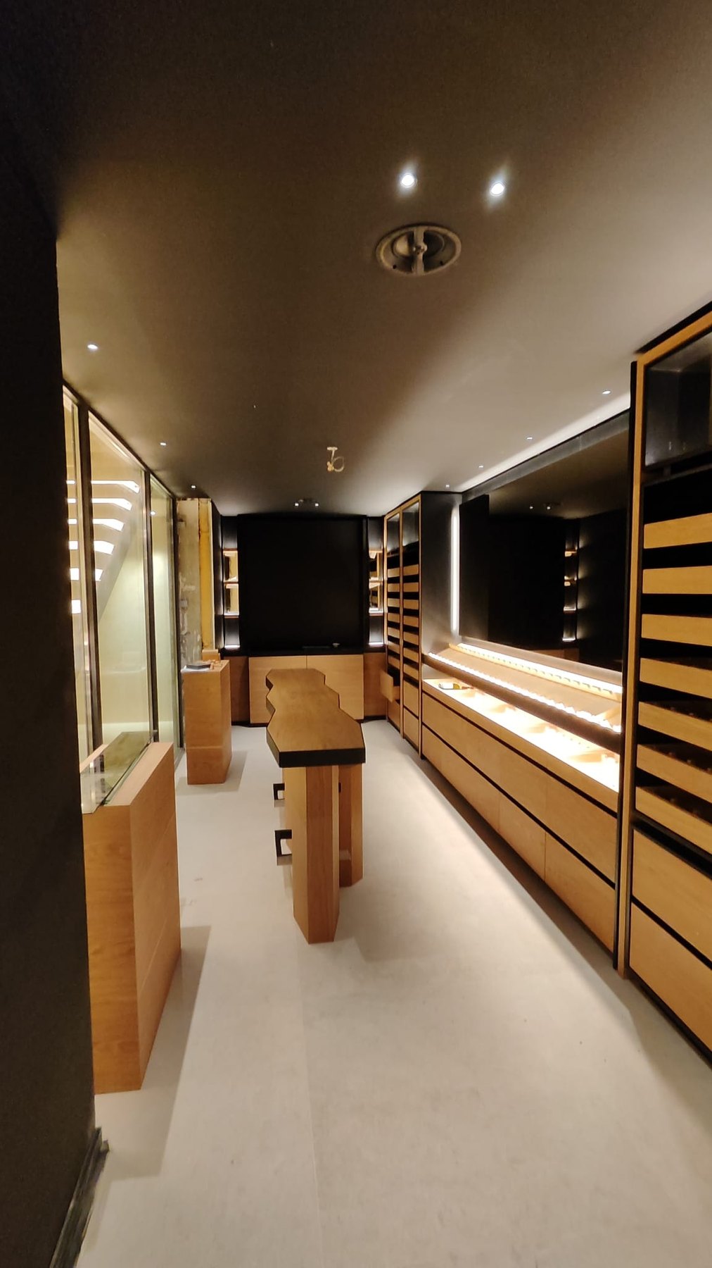 Maison contemporaine — Monts d’Or — réalisation ALEX ELEC — vue 2